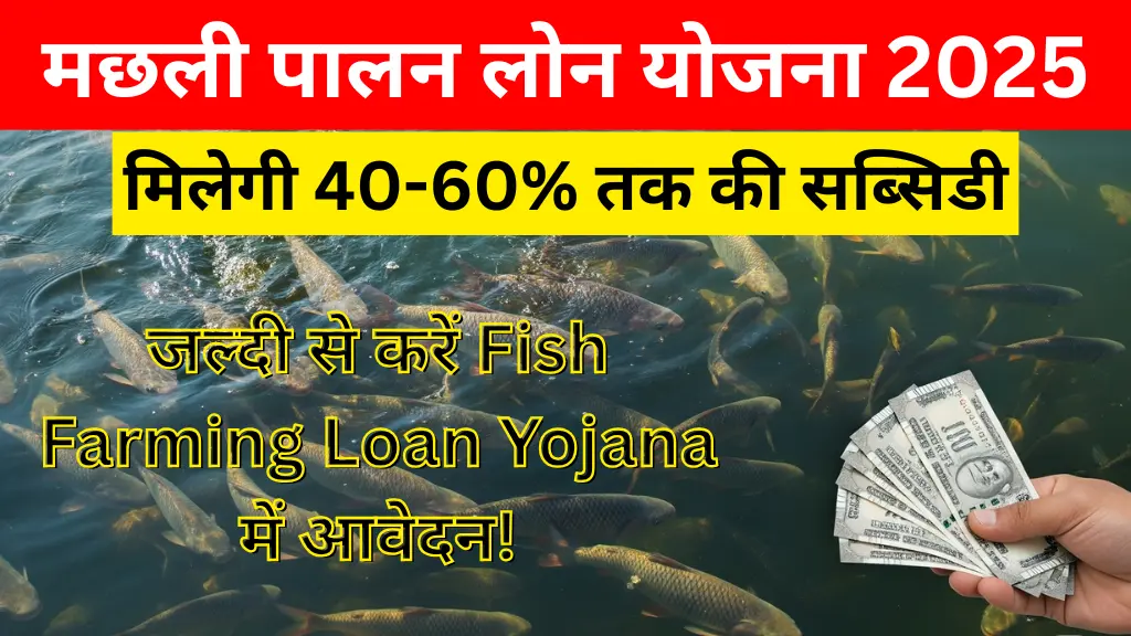 मछली पालन लोन योजना 2025: मिलेगी 40-60% की सब्सिडी, जल्दी करें Fish Farming Loan Yojana में आवेदन!